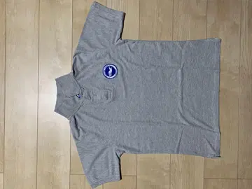 Brighton & Hove Albion 피케 셔츠 M 그레이