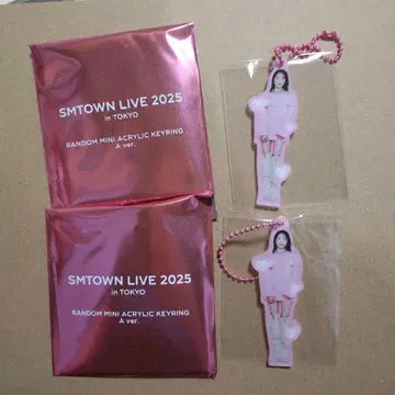 SMTOWN LIVE 2025 랜덤 미니 아크릴 키링