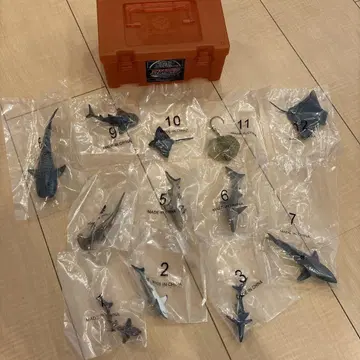 상어 모형 샤크박스