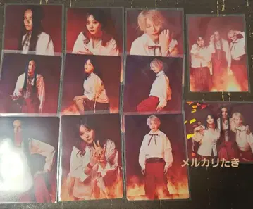 여왕벌 봉희왕 강불 컴프