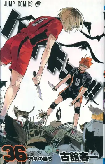 슈에이샤 점프 코믹스 후루다테 하루이치 !!)하이큐!! 36