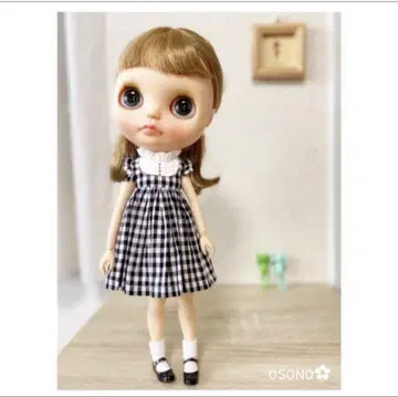 브라이스 아웃핏 네오 브라이스