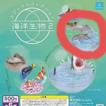 카프리움 컬렉션 해양생물 2 큰돌고래