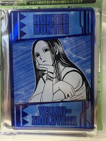 HUNTER x HUNTER 염능력 카드 컬렉션 이르미