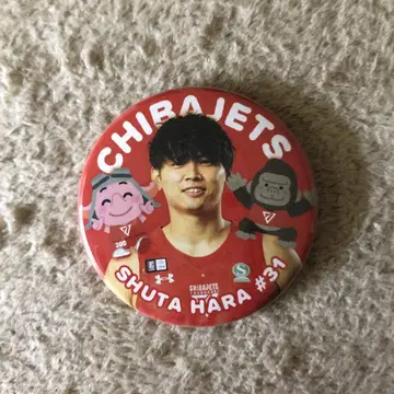 치바 제츠 하라 슈타 이라스트야 캔뱃지