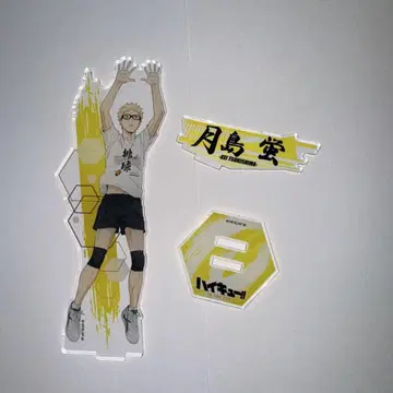 하이큐 츠키시마 케이