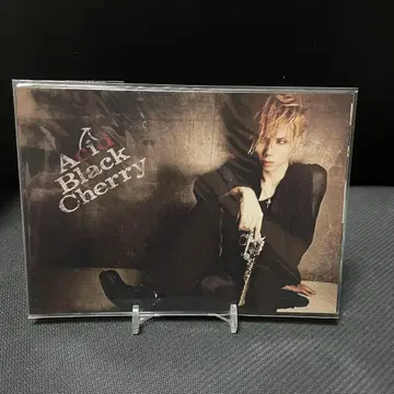 [미개봉] Acid Black Cherry Erect 엽서