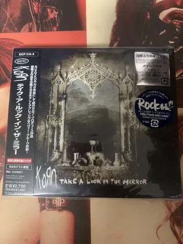 korn TAKE A LOOK IN THE MIRROR 초회 한정판
