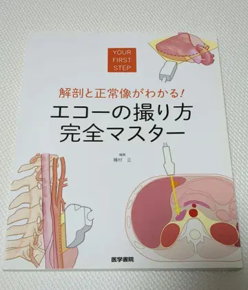 해부와 정상적인 모습이 보인다! 에코 촬영 방법 완전 마스터