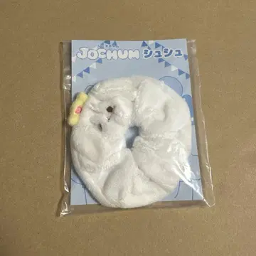JOCHUM RURU 스크런치 시로이와 루키