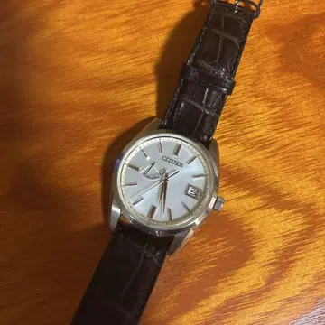 The CITIZEN Eco-Drive AQ1010-03A