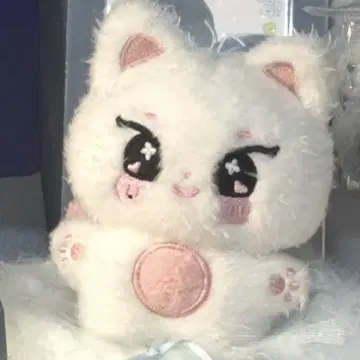 10cm 봉제 인형 ENHYPEN 정원