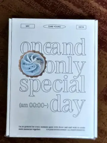 CHAE YOUNG one and only special day