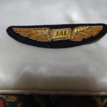 JAL 귀중한 윙 배지