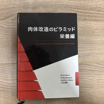 육체 개조 피라미드 영양편