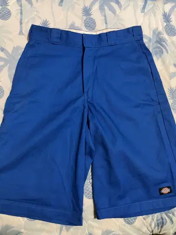 Dickies 디키즈 하프 팬츠 Loose Fit 블루 32 파랑