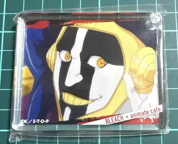 BLEACH 쿠로츠치 마유리 코롯타