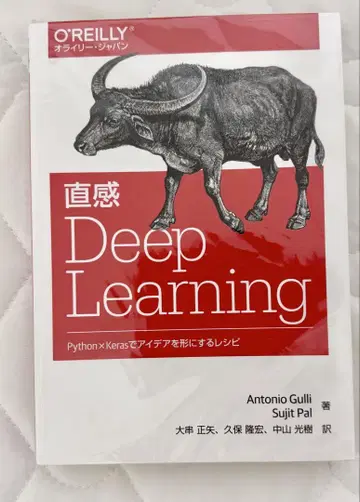 직감 deep learning