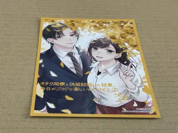 오타쿠 동료와 위장 결혼한 결과, 매일이 엄청 즐거운데 2권 게이머즈