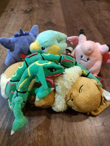 포켓몬 봉제 인형 세트 5개