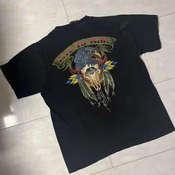 Burning Eagle 이글 민족 페더 페이드 빈티지