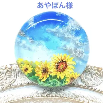 해바라기