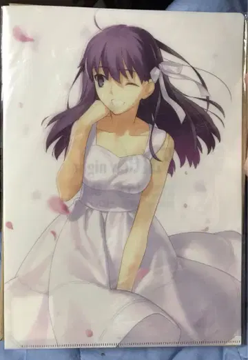 마토 사쿠라 A4 클리어 파일 Fate/stay night 15년의 궤적