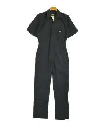 Dickies 팬츠 (기타) 남성용