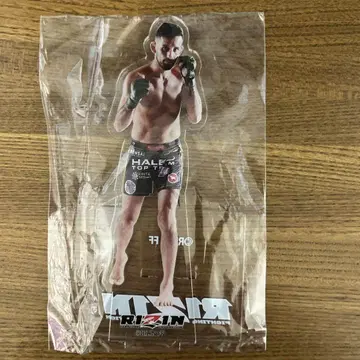 RIZIN 아크릴 스탠드 클레베르 코이케 클레마스 한정판