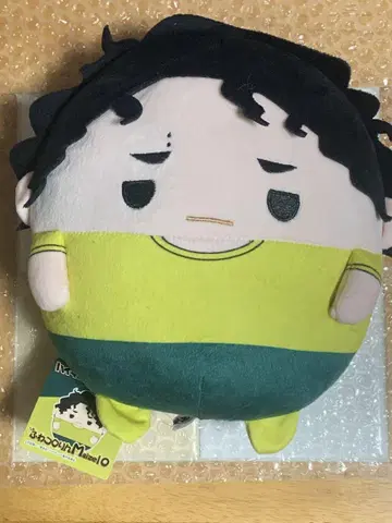 하이큐!! 후와코로링 Msize 10 사쿠사 키요오미