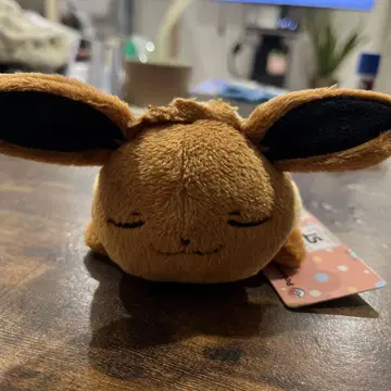 포켓몬 센터 껴안기 봉제인형 이브이 잠자는 모습 ver.