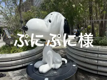 스누피 뮤지엄 초대권 2매
