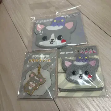 jochum 제오차무 츠루보 시온