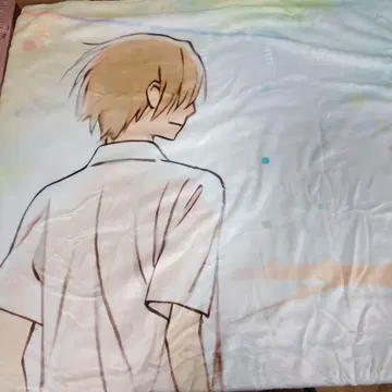 나츠메 우인장 나츠메 타카시와 냥코 선생님 담요