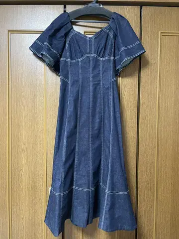 Her lip to imperia Volume Sleeve Dress