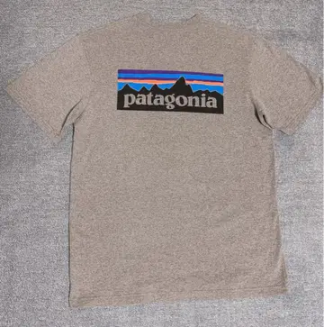 2Patagonia*백 로고 티셔츠*표기 사이즈 M