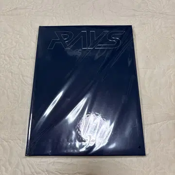 SnowMan RAYS 투어 팜플렛