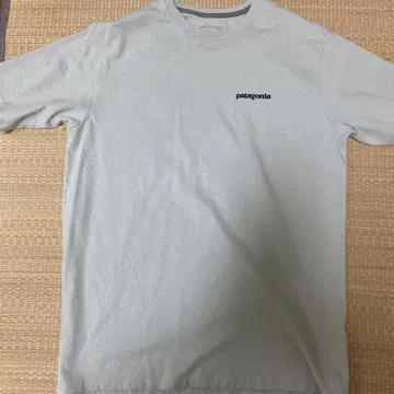patagonia Responsibili-Tee M 그레이 티셔츠
