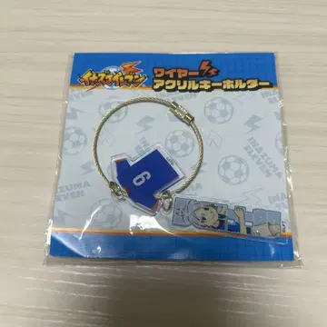 이나즈마 일레븐 후부키 시로 메디코스 와이어 아크릴 키링 후부키