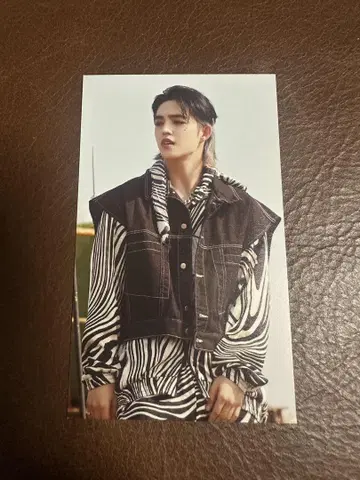 SEVENTEEN 에스쿱스 Facethesun 특전