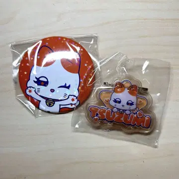 THIS IS ME:I 북 캔뱃지 & 네임 세트