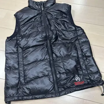 THE NORTH FACE SUMMIT SERIES 다운 베스트