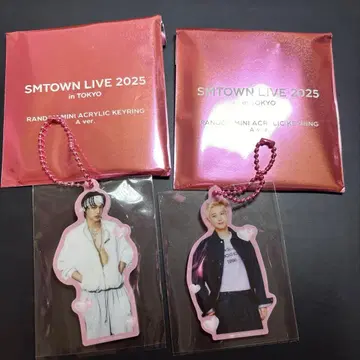 SM TOWN 2025 랜덤 아크릴 키링 EXO 카이 & 찬열