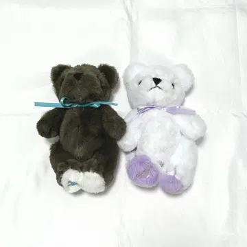 니지산지 카이세이 사카키 네스 테디베어