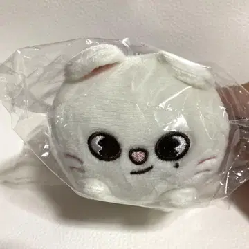 SKZOO 지니레트 현진 참