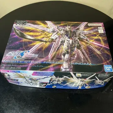 HG MIGHTY STRIKE FREEDOM GUNDAM