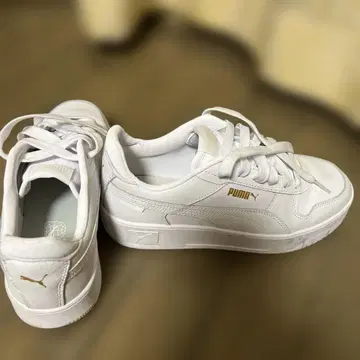 PUMA 캘리나 스트리트 24.5cm