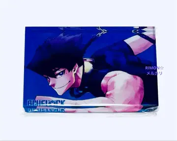 블루 록 카라스 타비비토 프로필 아크릴 블록