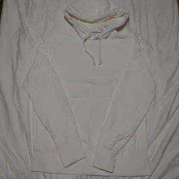 토드 스나이더 챔피온