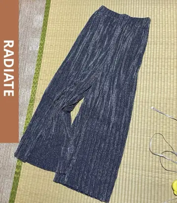 야마다야 RADIATE 플리츠 라메 와이드 팬츠 허리밴딩 FREE